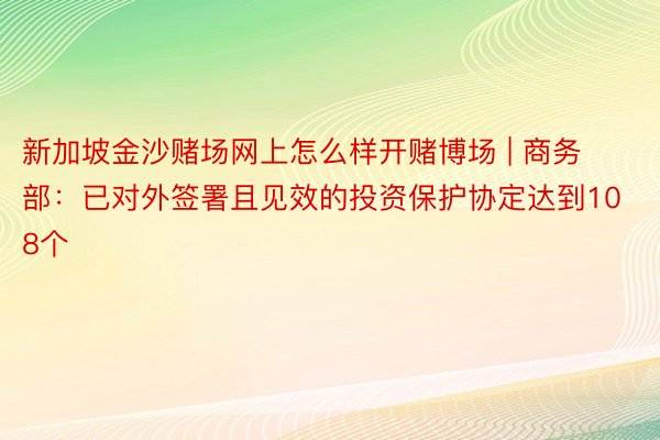 新加坡金沙赌场网上怎么样开赌博场 | 商务部：已对外签署且见效的投资保护协定达到108个